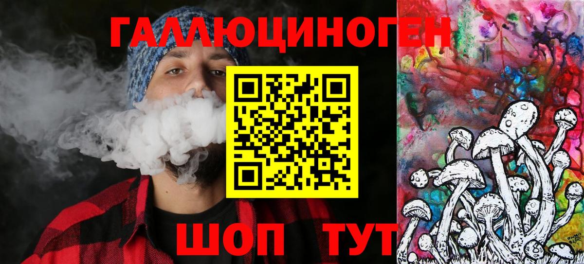 купить   Урус-Мартан  Галлюциногенные грибы Psilocybine cubensis 